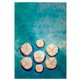 Many Sand Dollars Guest Towel