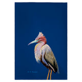 Little Blue Heron on Blue Guest Towel