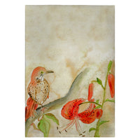 Brown Thrasher Guest Towel