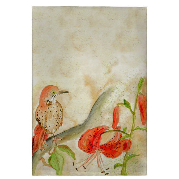 Brown Thrasher Guest Towel
