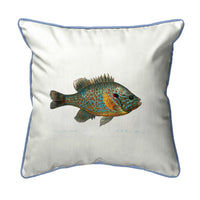 Pumpkinseed Fish Indoor/Outdoor Pillow