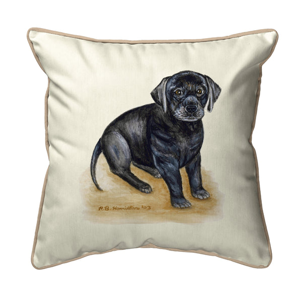 Black Lab Indoor/Outdoor Pillow
