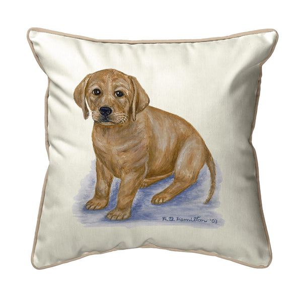 Yellow Lab Indoor/Outdoor Pillow