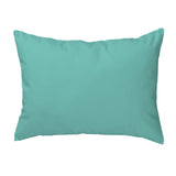 Shrimp on Aqua Corded Pillow