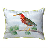 Green Heron II Indoor/Outdoor Pillow