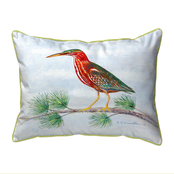 Green Heron II Indoor/Outdoor Pillow
