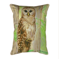 Barn Owl Indoor/Outdoor Pillow