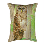 Barn Owl Indoor/Outdoor Pillow