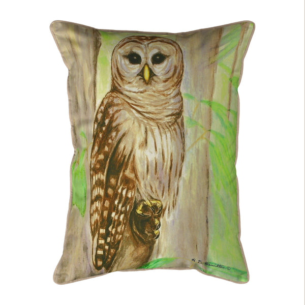 Barn Owl Indoor/Outdoor Pillow