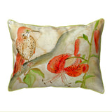 Brown Thrasher Indoor/Outdoor Pillow