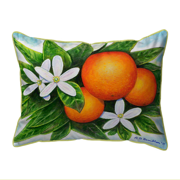 Orange Indoor/Outdoor Pillow