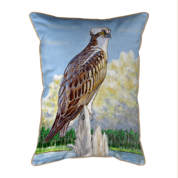 Osprey Overlook Indoor/Outdoor Pillow