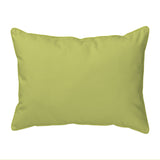 Hummingbird and Clematis Indoor/Outdoor Pillow