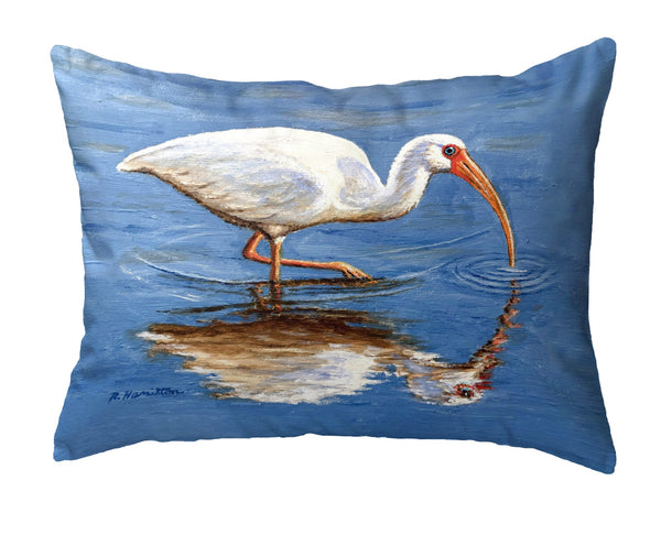 Ibis Looking No-Cord Pillow