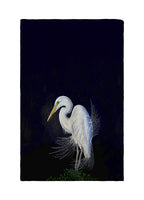Breeding Egret Kitchen Towel