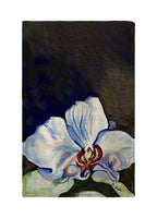 White Orchid Kitchen Towel