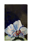 White Orchid Kitchen Towel