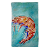 Shrimp on Aqua Kitchen Towel
