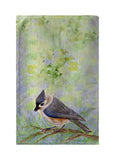 Tufted Titmouse Kitchen Towel