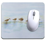 Avocets Mousepad