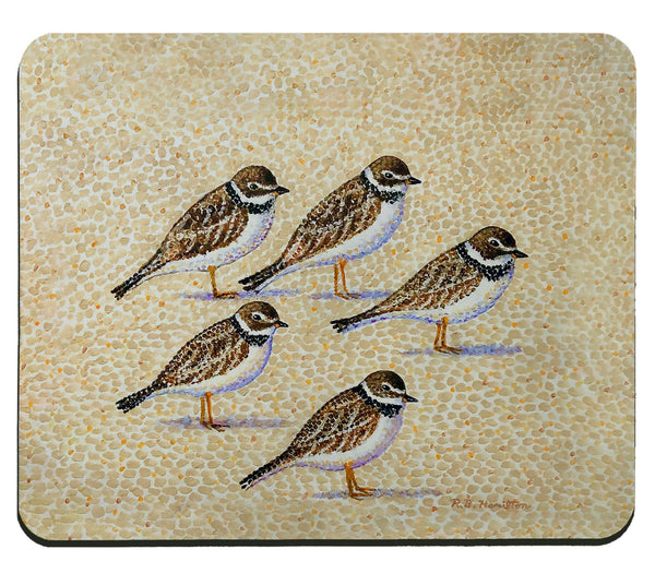 Five Sandpipers Mousepad