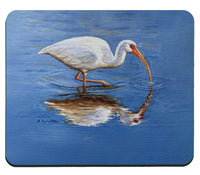 Ibis Looking Mousepad
