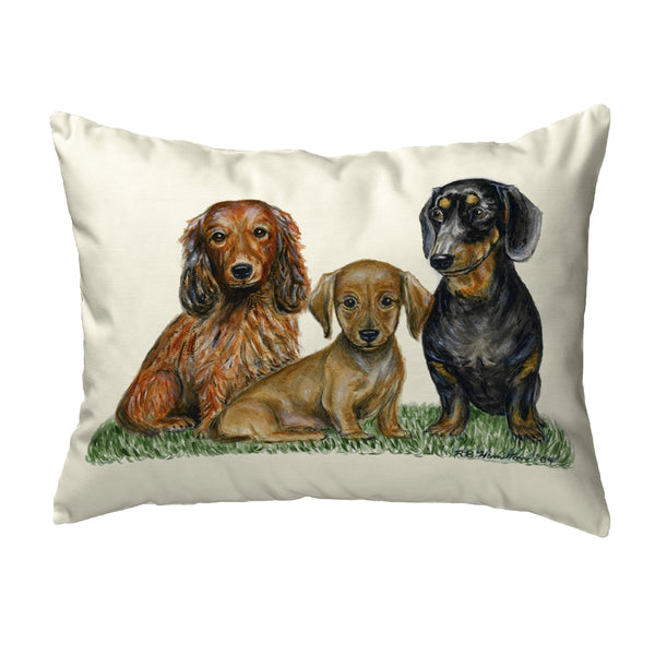Dachshunds Dogs Noncorded Indoor/Outdoor Pillow