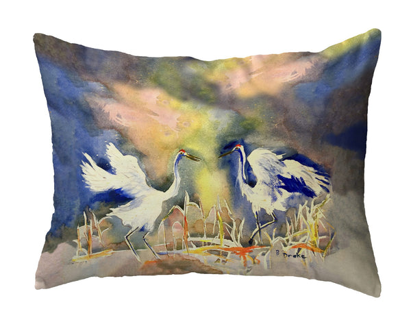 Whooping Crane Noncorded Indoor/Outdoor Pillow
