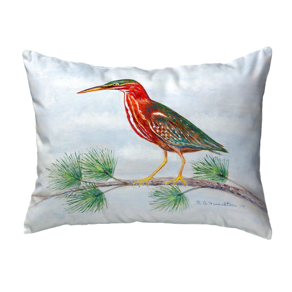 Green Heron II Noncorded Indoor/Outdoor Pillow