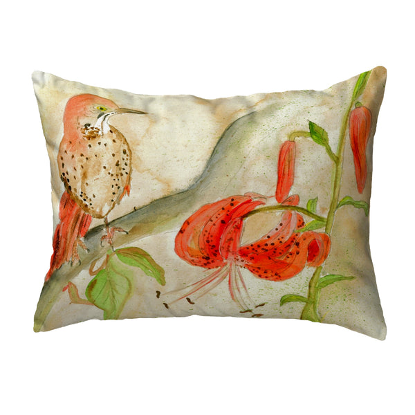 Brown Thrasher Noncorded Indoor/Outdoor Pillow