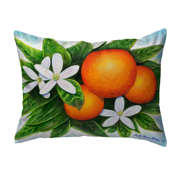 Orange Noncorded Indoor/Outdoor Pillow