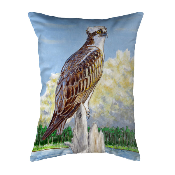 Osprey Overlook Noncorded Indoor/Outdoor Pillow