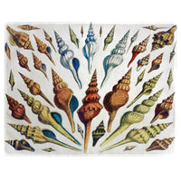 Multi Shells Antique Place Mat Set of 4