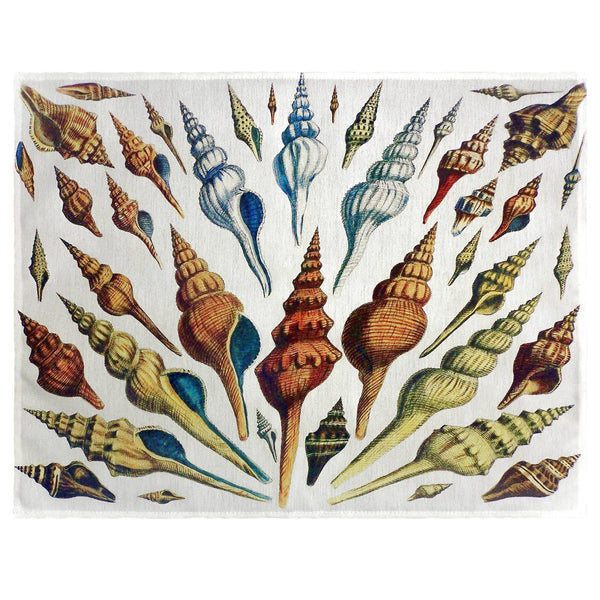 Multi Shells Antique Place Mat Set of 4