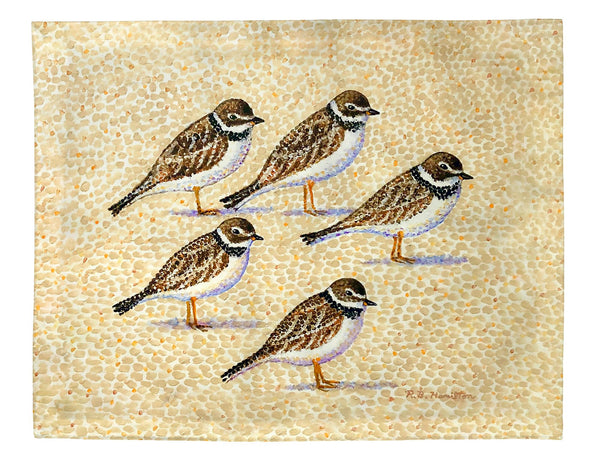 Five Sandpipers Place Mat Set of 4