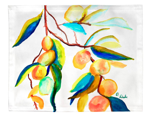 Peaches II Place Mat Set of 4