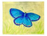 Blue Azure Butterfly Place Mat Set of 4