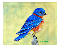 Blue Bird II Place Mat Set of 4