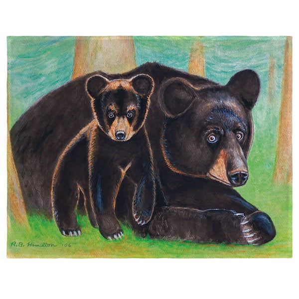 Bear & Cub Place Mat Set of 4