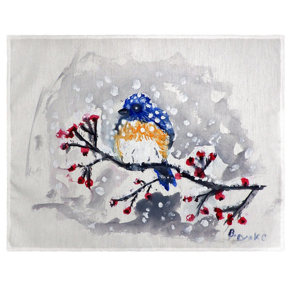 Blue Bird & Snow Place Mat Set of 4