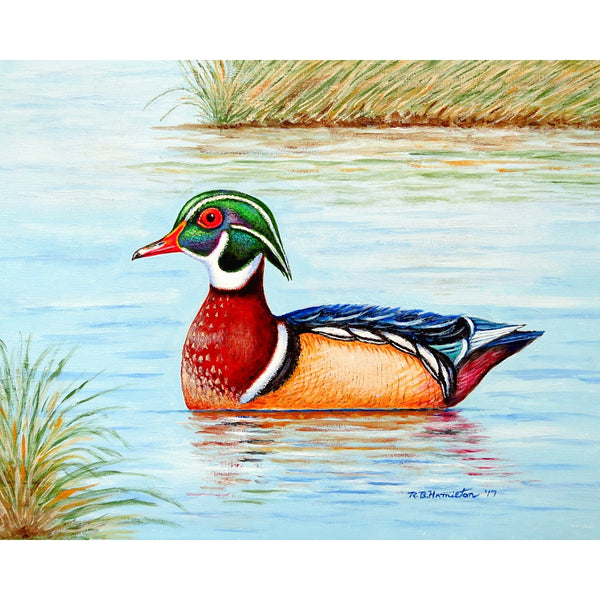 Male Wood Duck II Place Mat Set of 4