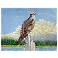 Osprey Overlook Place Mat Set of 4