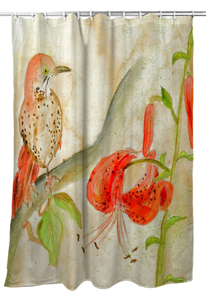 Brown Thrasher Shower Curtain