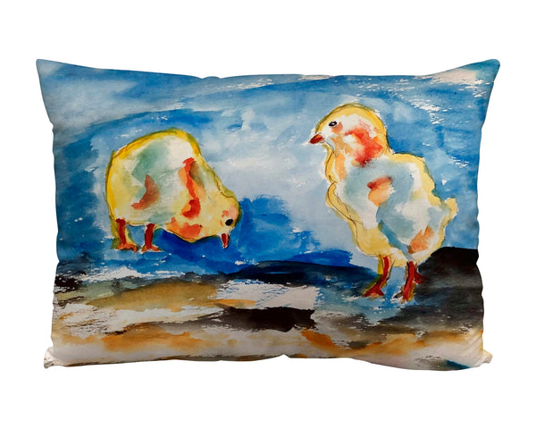 Two Chicks Suede Indoor Zippered Pillow