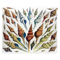 Multi Shells Antique Outdoor Wall Hanging 24x30