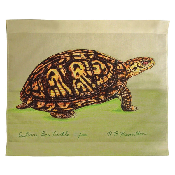 Box Turtle Outdoor Wall Hanging 24x30