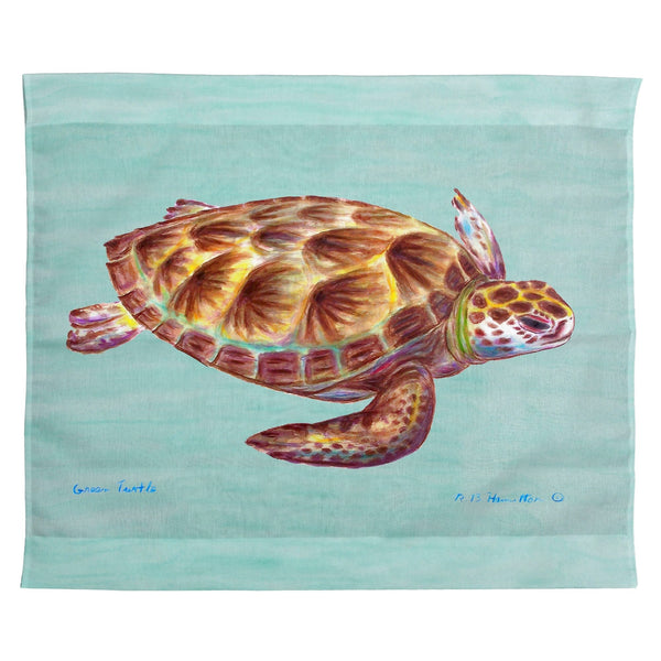Green Sea Turtle - Teal Outdoor Wall Hanging 24x30