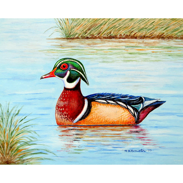 Male Wood Duck II Outdoor Wall Hanging 24x30