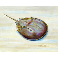 Horseshoe Crab Outdoor Wall Hanging 24x30