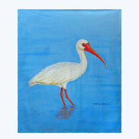 Posing White Ibis Throw